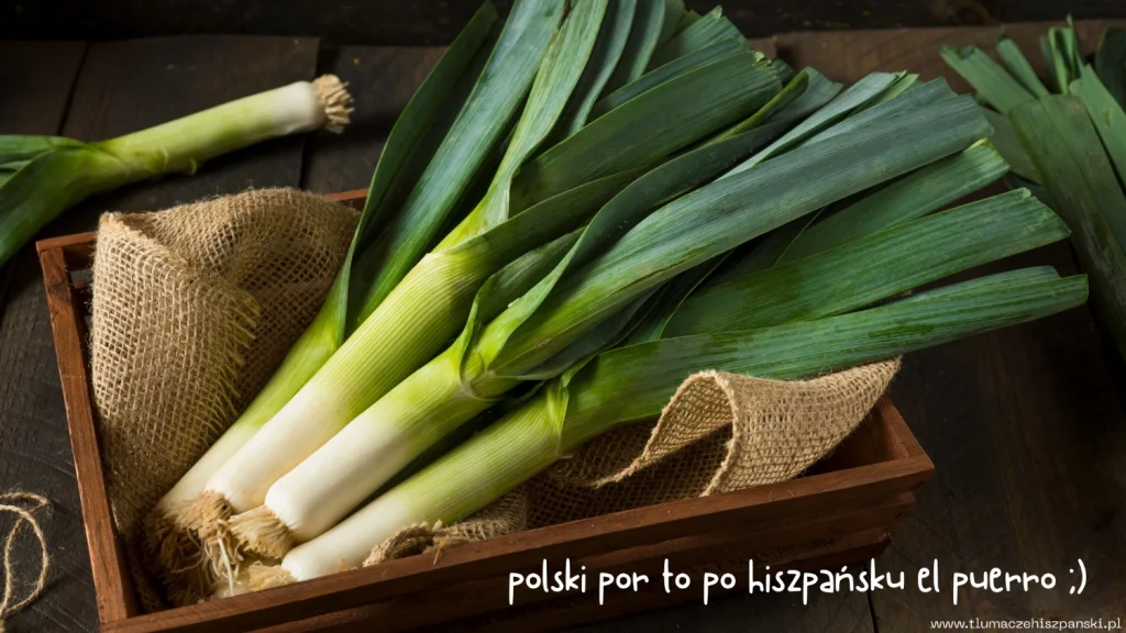 przyimek por po hiszpansku